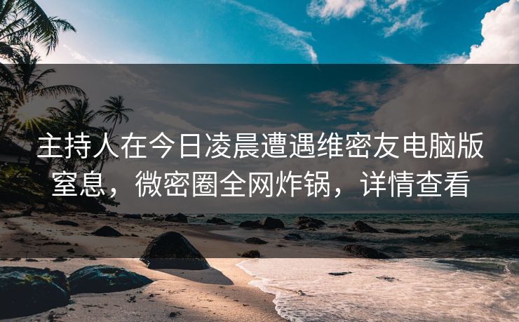 主持人在今日凌晨遭遇维密友电脑版窒息，微密圈全网炸锅，详情查看