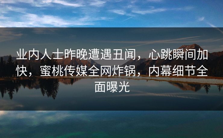 业内人士昨晚遭遇丑闻，心跳瞬间加快，蜜桃传媒全网炸锅，内幕细节全面曝光
