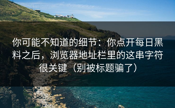 你可能不知道的细节：你点开每日黑料之后，浏览器地址栏里的这串字符很关键（别被标题骗了）